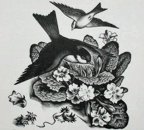 Birds and primroses. 1936. (600x554, 151Kb)