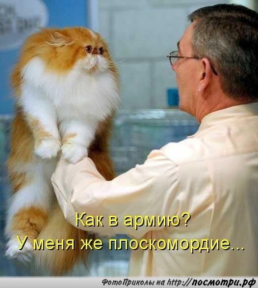 http://img1.liveinternet.ru/images/attach/c/9/105/397/105397793_x_07233f49.jpg