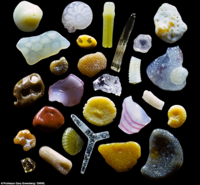 Magnified-Grains-of-Sand-8 (700x649, 220Kb)