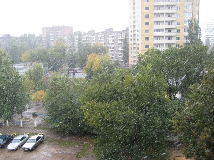2824467_IMG_3376 (700x525, 322Kb)