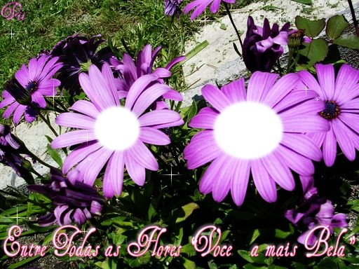 flores 778 (512x384, 293Kb)