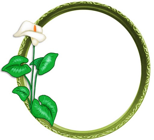 Flower02 (512x464, 116Kb)