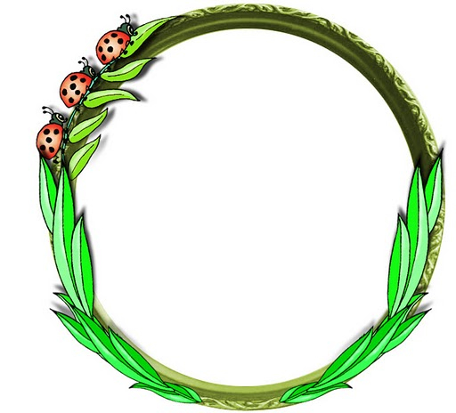 Flower05 (512x464, 141Kb)