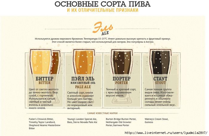beer-infogr -  (700x457, 147Kb)