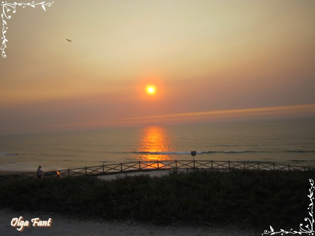 IMG_2906 (640x480, 39Kb)