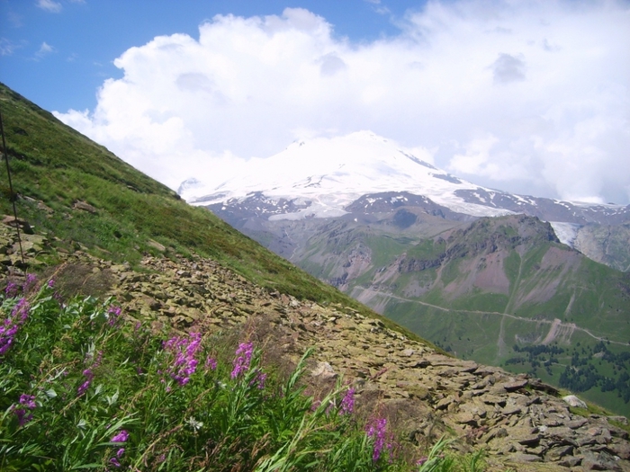 8.1 (700x525, 294Kb)