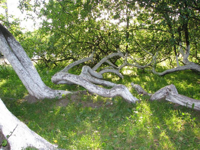 1380711002_1993 (700x525, 159Kb)