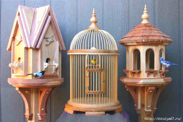 bird-house-designs-and-plans (600x399, 114Kb)