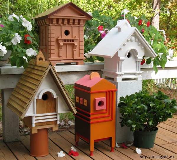 Bird-houses-plans-and-designs (600x544, 292Kb)