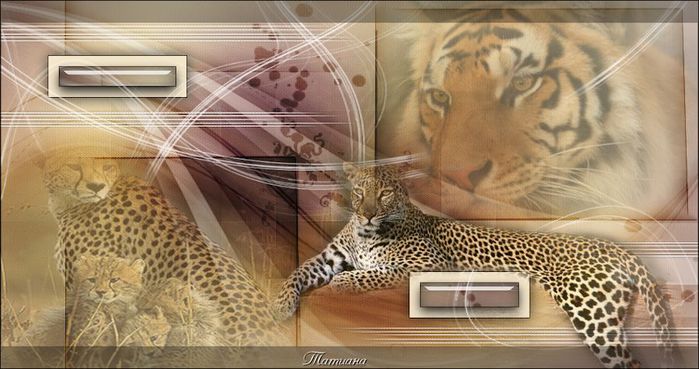 Cheetah (700x369, 58Kb)