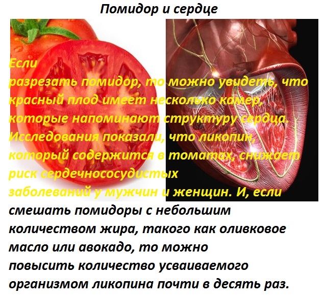 помидор и сердце (637x581, 324Kb)