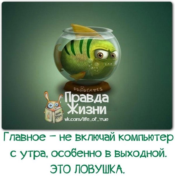 вот фото вся правда жизни качестве рекламы