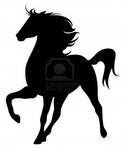  12167486-purebred-stallion-fine-vector-silhouette--black-horse-outline-against-white (577x700, 96Kb)