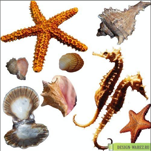  (500x500, 59Kb)