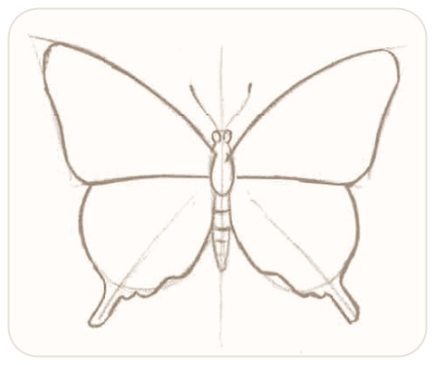 Бабочка схематично рисунок