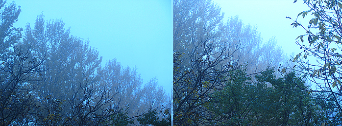 4052195_IMG_1262 (700x259, 314Kb)
