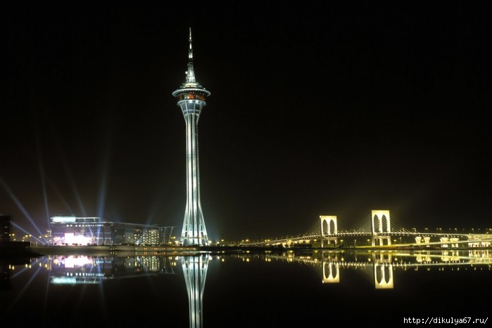 Macau-tower-at-night-China-485x728 (700x466, 131Kb)