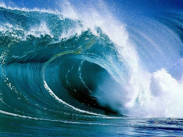 5402287_f_7077854 (640x480, 85Kb)