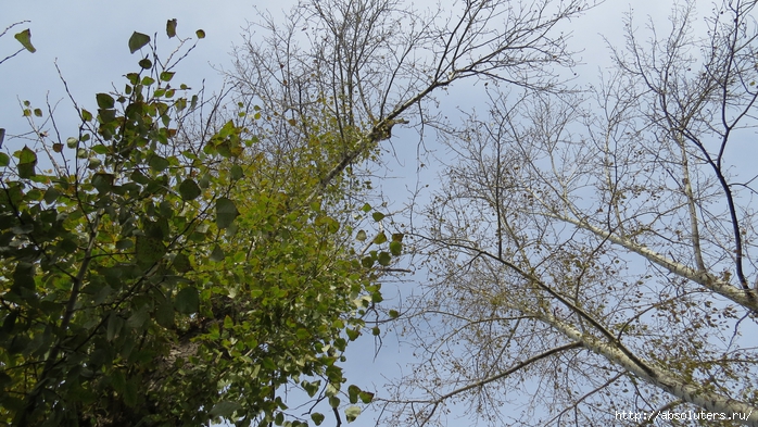(1) (700x393, 347Kb)