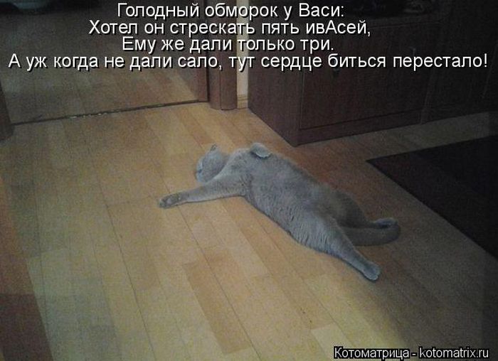 http://img1.liveinternet.ru/images/attach/c/9/106/173/106173377_large_5402287_1381451703_116.jpg