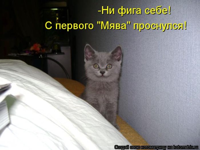 http://img1.liveinternet.ru/images/attach/c/9/106/173/106173387_large_5402287_1381451715_18.jpg