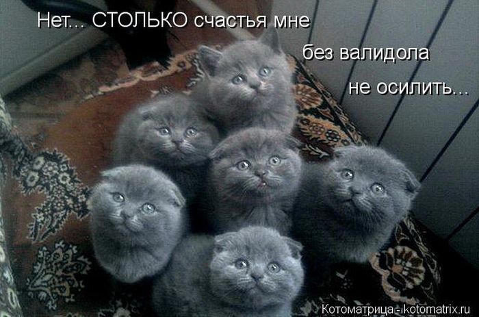 http://img1.liveinternet.ru/images/attach/c/9/106/173/106173391_large_5402287_1381451727_138.jpg