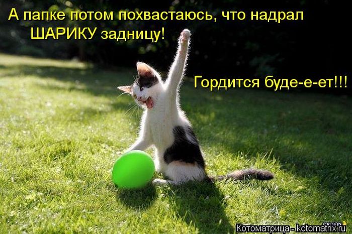 http://img1.liveinternet.ru/images/attach/c/9/106/173/106173395_large_5402287_1381451740_16.jpg