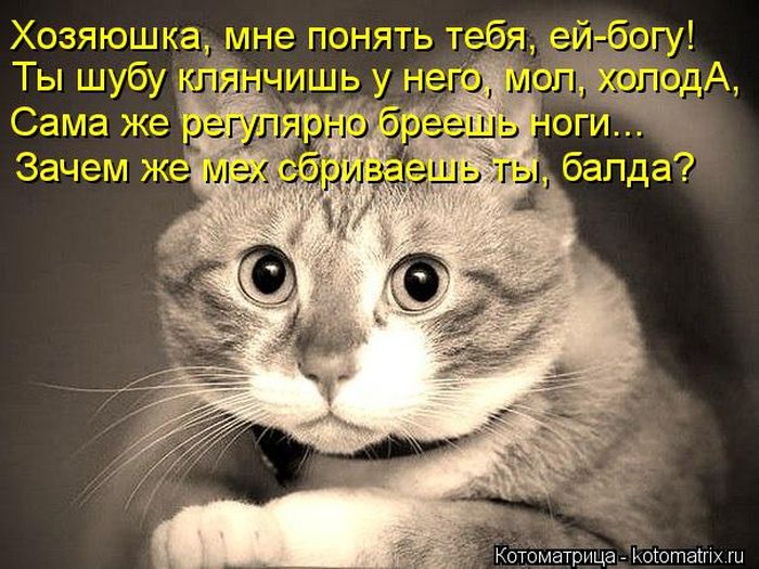 http://img1.liveinternet.ru/images/attach/c/9/106/173/106173407_large_5402287_1381451766_13.jpg