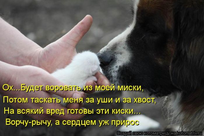 http://img1.liveinternet.ru/images/attach/c/9/106/173/106173419_large_5402287_1381451795_119.jpg