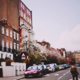tumblr_mtmxqhhFGF1rgunsqo6_250 (160x160, 50Kb)