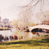 tumblr_murhd4DCVq1rgunsqo9_250 (160x160, 54Kb)