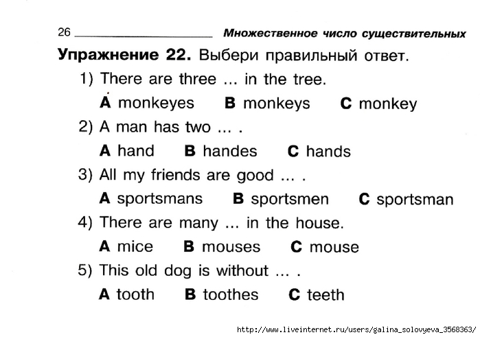 Как называется компьютерный язык 3 буквы