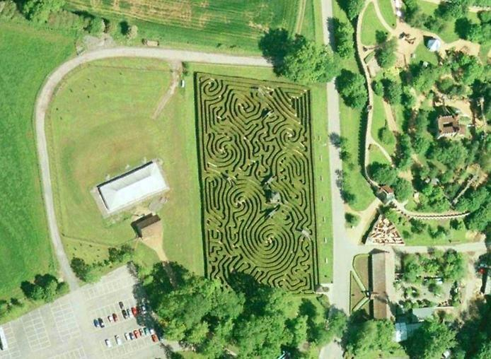 longleat_hedge_maze_11 (694x508, 352Kb)