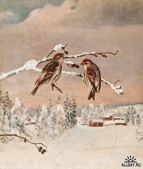 1379580061_winter-birds (500x590, 139Kb)