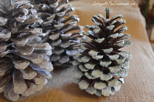 pinecones-026 (640x424, 169Kb)