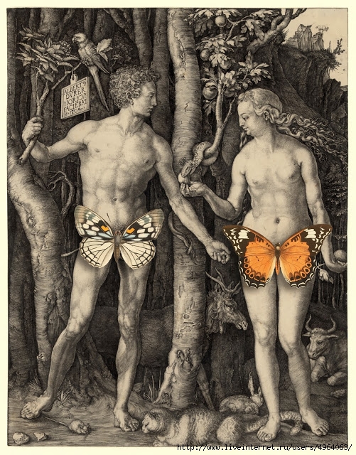 AdamEve (501x640, 331Kb)