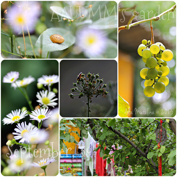 1175921_collage_Aauumms_garden_txt (700x700, 197Kb)