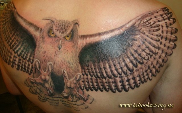 1382559963_phoca_thumb_l_tattoo_salon_kiev_15 (640x399, 50Kb)