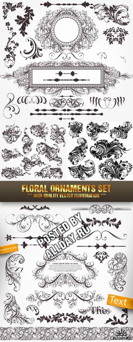 1313867711_1313692899_stock-vector-floral-ornaments-setallday (273x700, 165Kb)