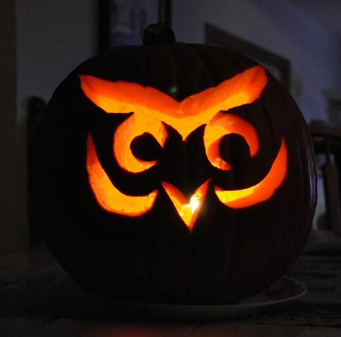 Owl-Pumpkin-1024x1011 (700x690, 190Kb)