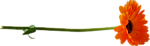 0_8531c_f1154077_S (150x46, 8Kb)