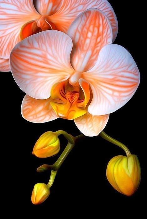b5f31878d99c92622e1d7889ce2ba8d0 (470x700, 151Kb)