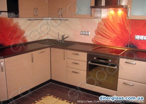 1265486871_kitchen-apron-glass-28 (600x430, 134Kb)