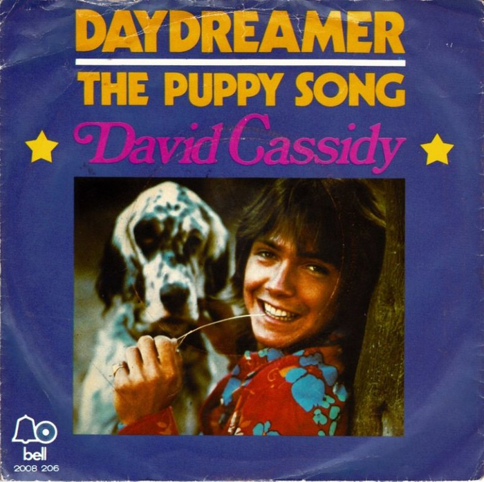 David Cassidy (700x697, 513Kb)
