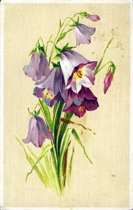 19-75 (442x700, 93Kb)