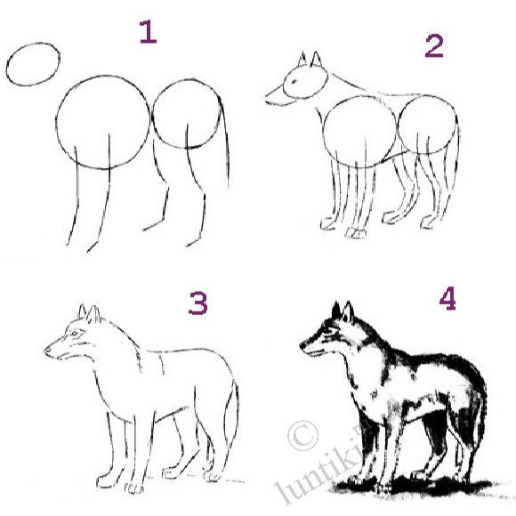 Как нарисовать волка карандашом: поэтапное описание процесса для начинающих и опытных художников