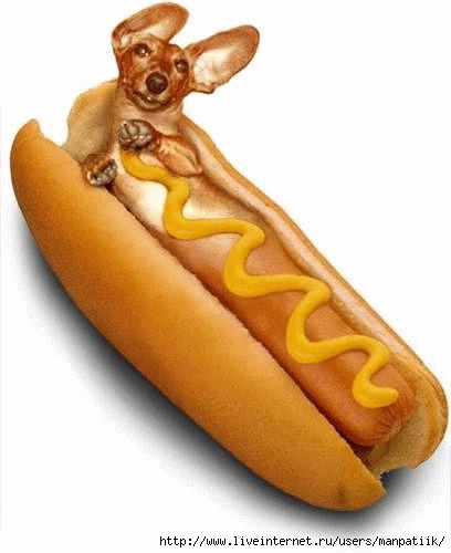 hot_dog2 (408x500, 73Kb)
