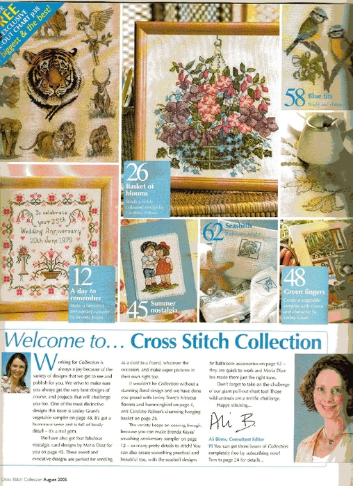 Cross Stitch Collection Issue 120 002 (508x700, 352Kb)