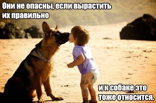UooBfQXjPBE (500x331, 105Kb)
