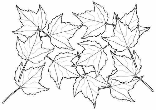 5252558_33 (500x354, 22Kb)